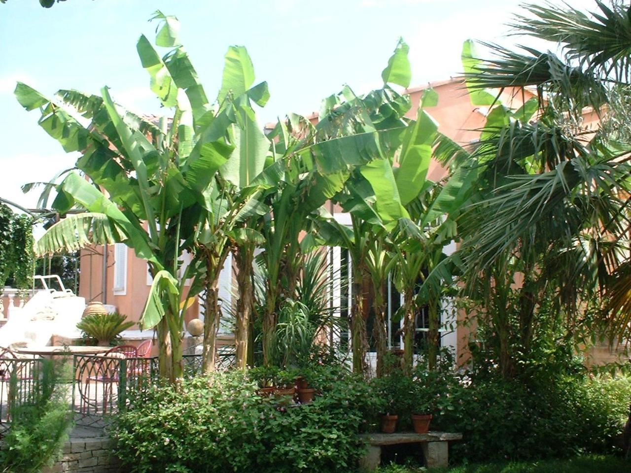 Campagne Otel Montélimar Dış mekan fotoğraf